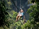 gibbon (37)